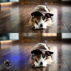 Manufacturer wholesale purple LED light UV battery pet urine detectors flashlight