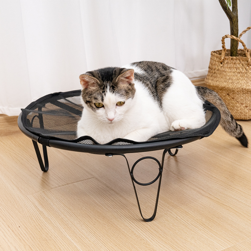 Manufacturer wholesale outdoor foldable elevate breathable cat dog raised bed