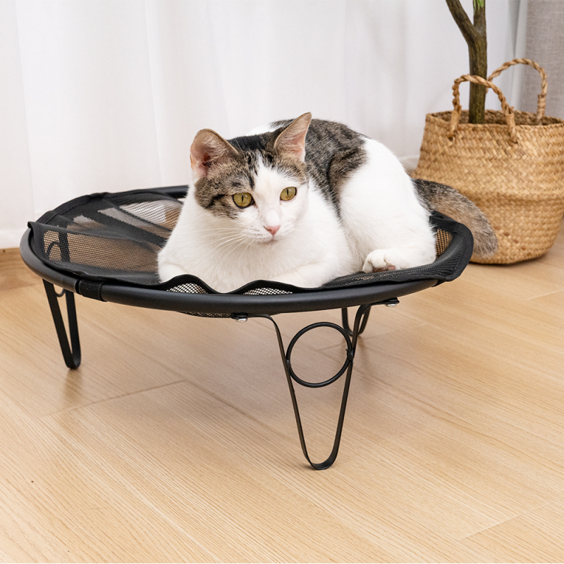 Manufacturer wholesale outdoor foldable elevate breathable cat dog raised bed