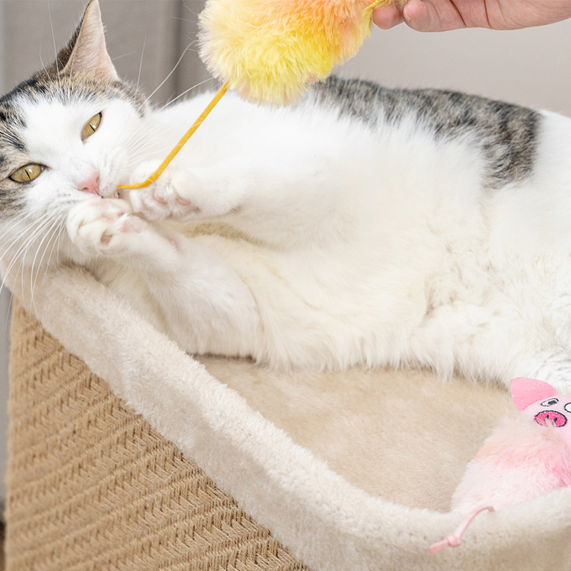 Manufacturer wholesale cute design plush cat stuffed toy