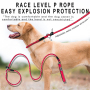Manufacturer Wholesale Cheap Nylon Pet Dog Rope Leash