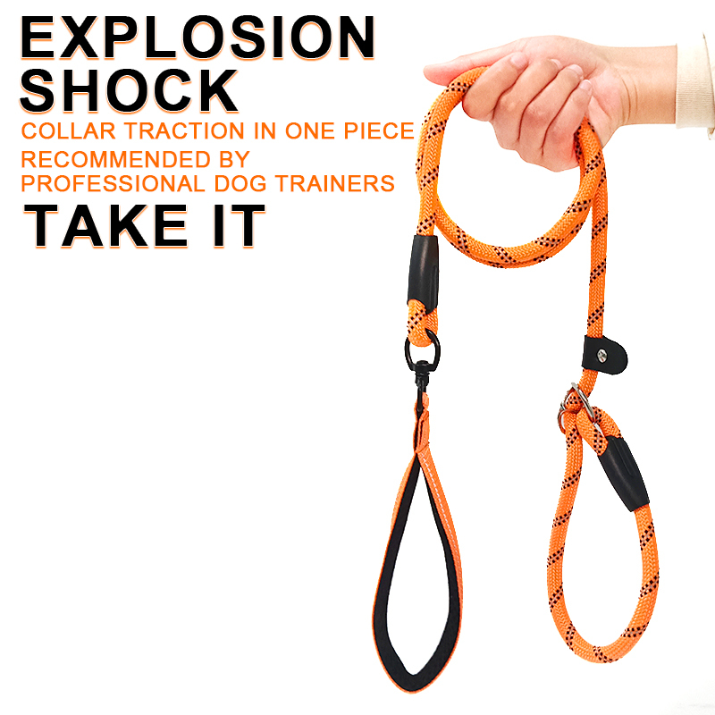 Manufacturer Wholesale Cheap Nylon Pet Dog Rope Leash