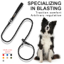 Manufacturer Wholesale Cheap Nylon Pet Dog Rope Leash