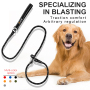 Manufacturer Wholesale Cheap Nylon Pet Dog Rope Leash