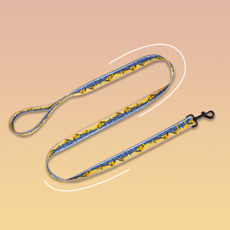 Manufacturer Wholesale Custom logo Cheap Nylon Adjustable Pet Dog Collar and Leash Set