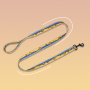 Manufacturer Wholesale Custom logo Cheap Nylon Adjustable Pet Dog Collar and Leash Set