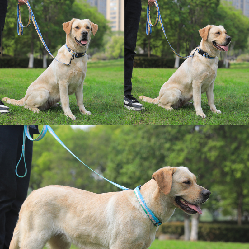 Manufacturer Wholesale Custom logo Cheap Nylon Adjustable Pet Dog Collar and Leash Set