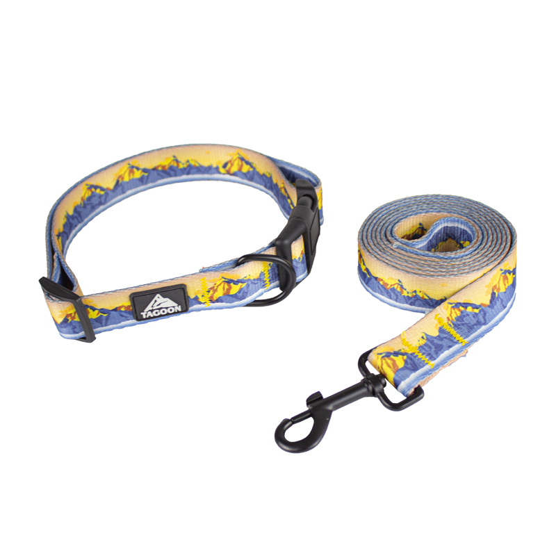 Manufacturer Wholesale Custom logo Cheap Nylon Adjustable Pet Dog Collar and Leash Set