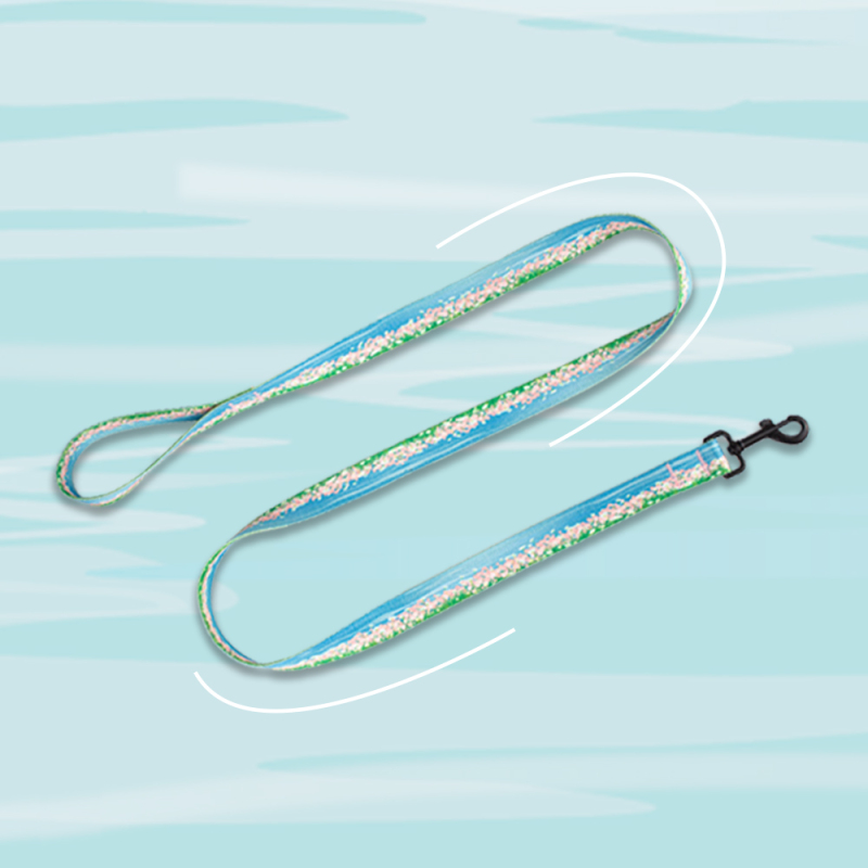 Manufacturer Wholesale Custom logo Cheap Nylon Adjustable Pet Dog Collar and Leash Set