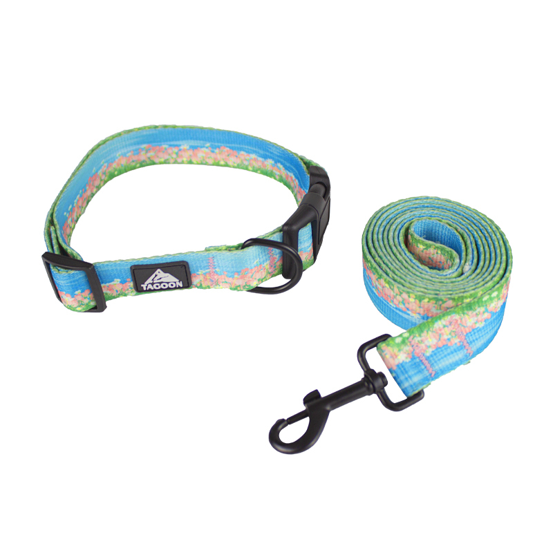 Manufacturer Wholesale Custom logo Cheap Nylon Adjustable Pet Dog Collar and Leash Set