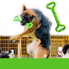 Manufacturer wholesale training green yellow blue orange dog tpr bone chew toys