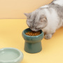Manufacturer wholesale green white ceramic cat petal bowl