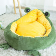 frog design