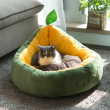 avocado design