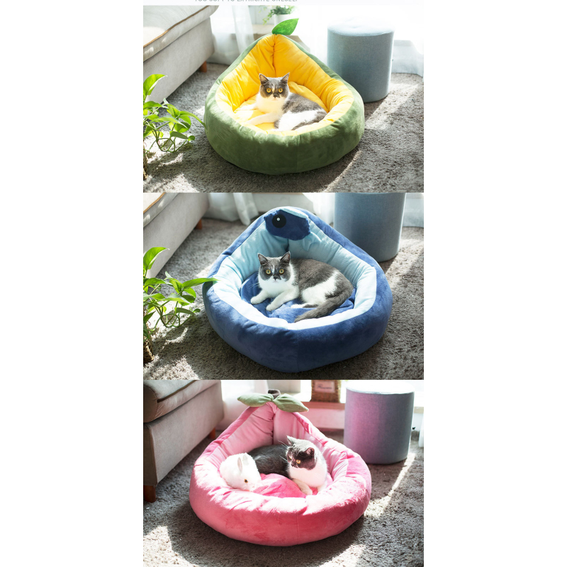 Manufacturer wholesale frog avocado short plush small dog cat bed cute design