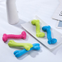 Manufacturer wholesale chew pink yellow blue dog tpr bone toys