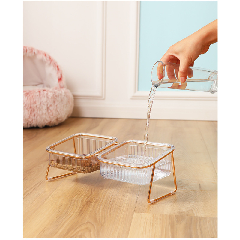 Manufacturer wholesale transparency bevelled plastic cat pet dog two bowls