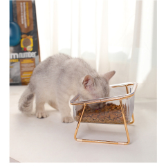 Manufacturer wholesale transparency bevelled plastic cat pet dog two bowls