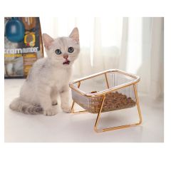 Manufacturer wholesale transparency bevelled plastic cat pet dog two bowls