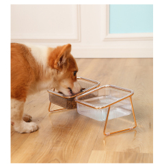 Manufacturer wholesale transparency bevelled plastic cat pet dog two bowls