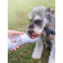 Manufacturer wholesale 4 in 1 portable dog water bottle with food storage poop bag scoop