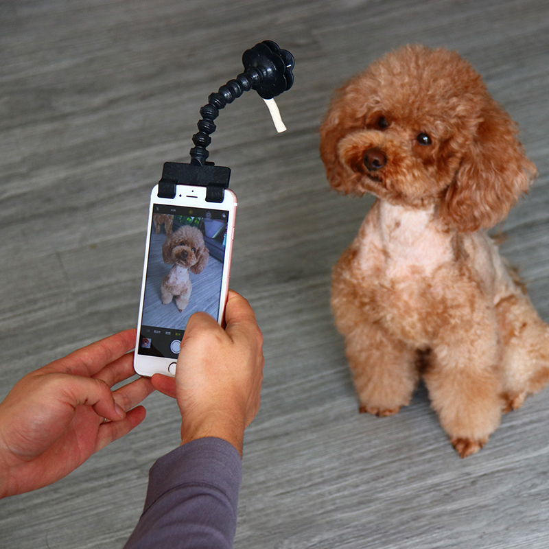 Manufacturer Wholesale OEM custom logo dog cat pet selfie stick toy