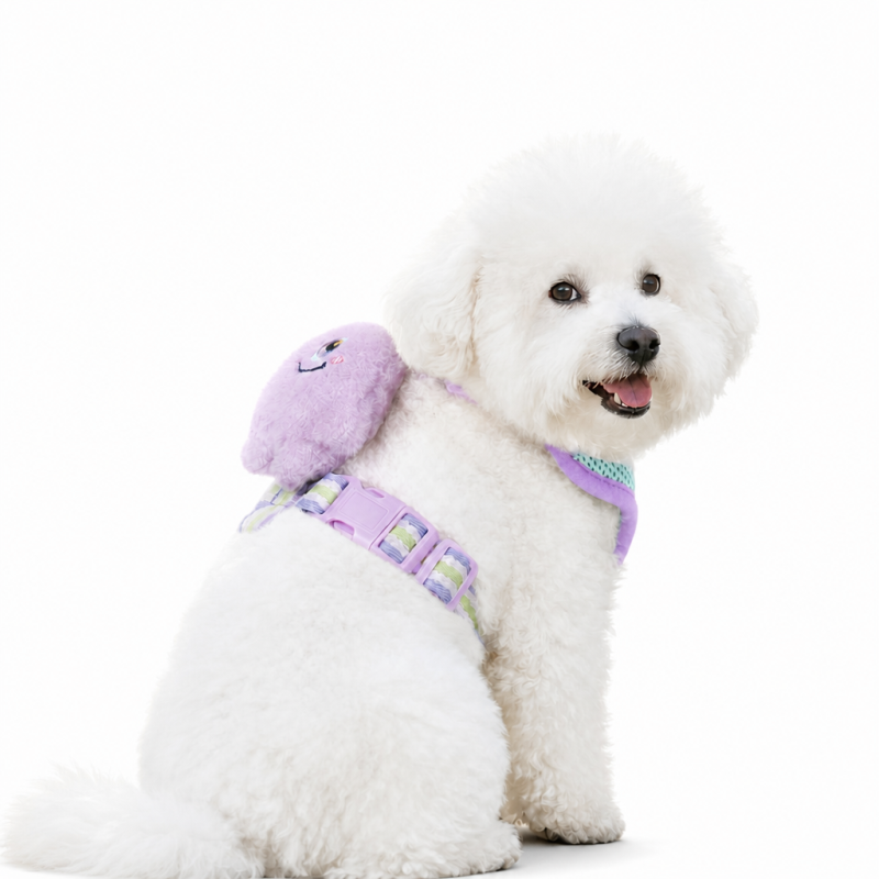 Wholesale Multi-colors Breathable Custom Logo Dog Harness Set
