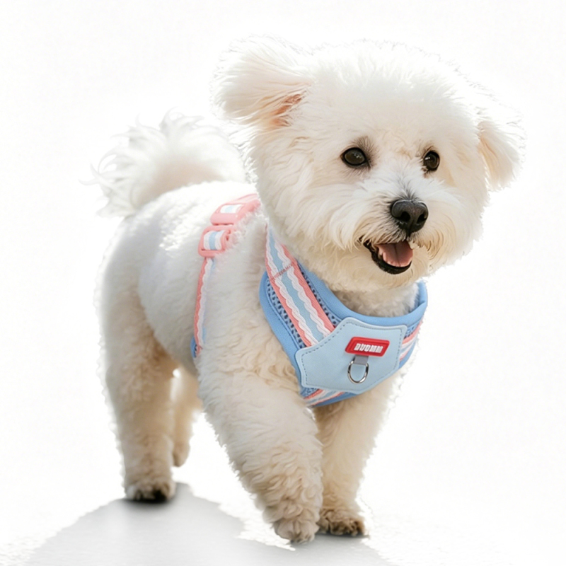 Wholesale Multi-colors Breathable Custom Logo Dog Harness Set