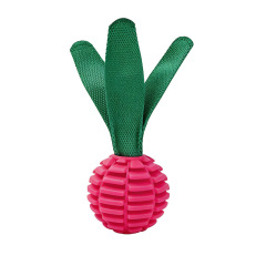 Wholesale Customized TPU Ball Squeaky Pet Product Dog Chew Toy