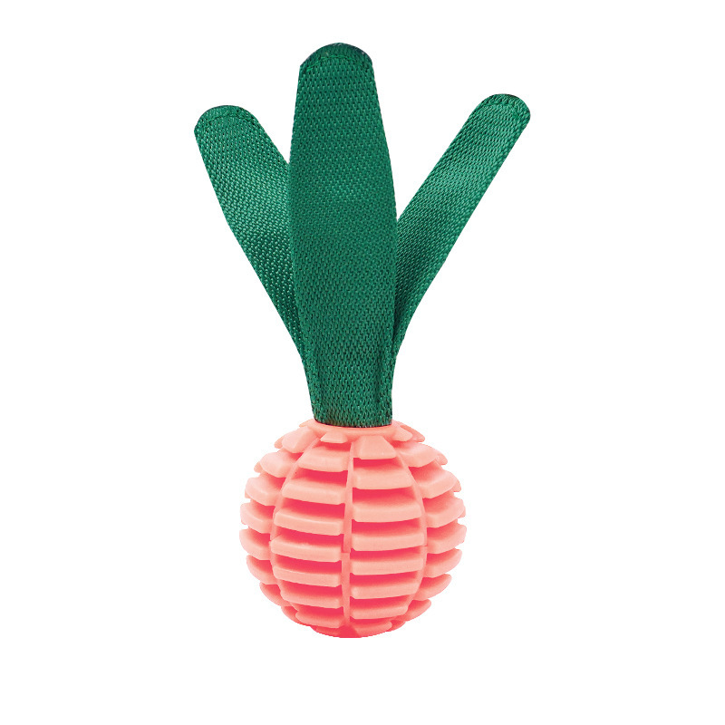 Wholesale Customized TPU Ball Squeaky Pet Product Dog Chew Toy