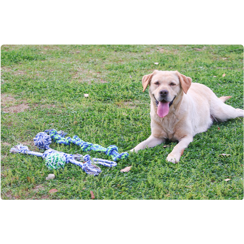 Wholesale Chew Bite Resistant Interwoven Cotton Pet Dog Rope Toys