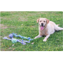 Wholesale Chew Bite Resistant Interwoven Cotton Pet Dog Rope Toys