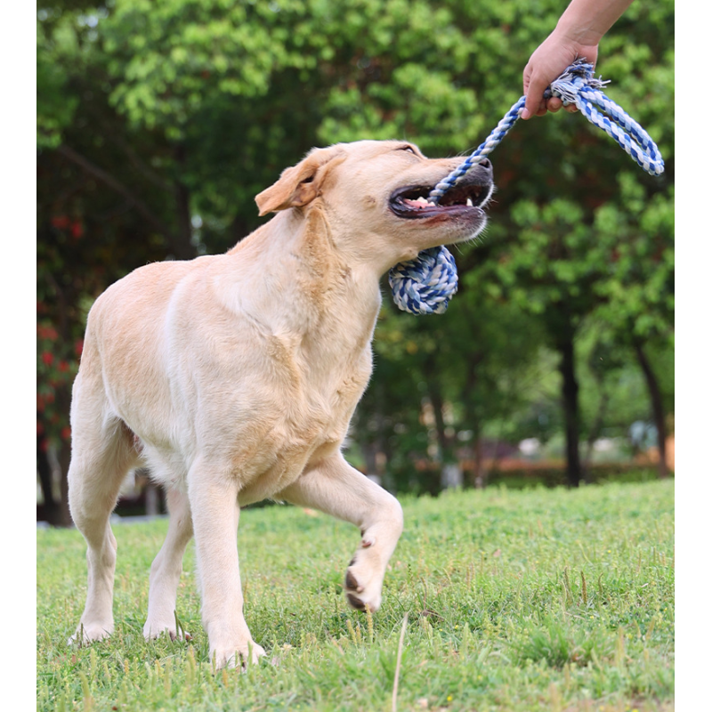 Wholesale Chew Bite Resistant Interwoven Cotton Pet Dog Rope Toys
