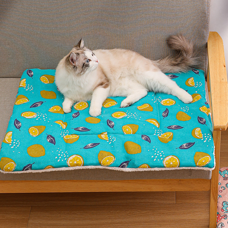 Manufacturer Wholesale Cute Design Fleece Cat Pet Dog Mat