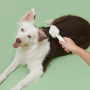 Manufacturer wholesale green white charging cat dog comb with LED light