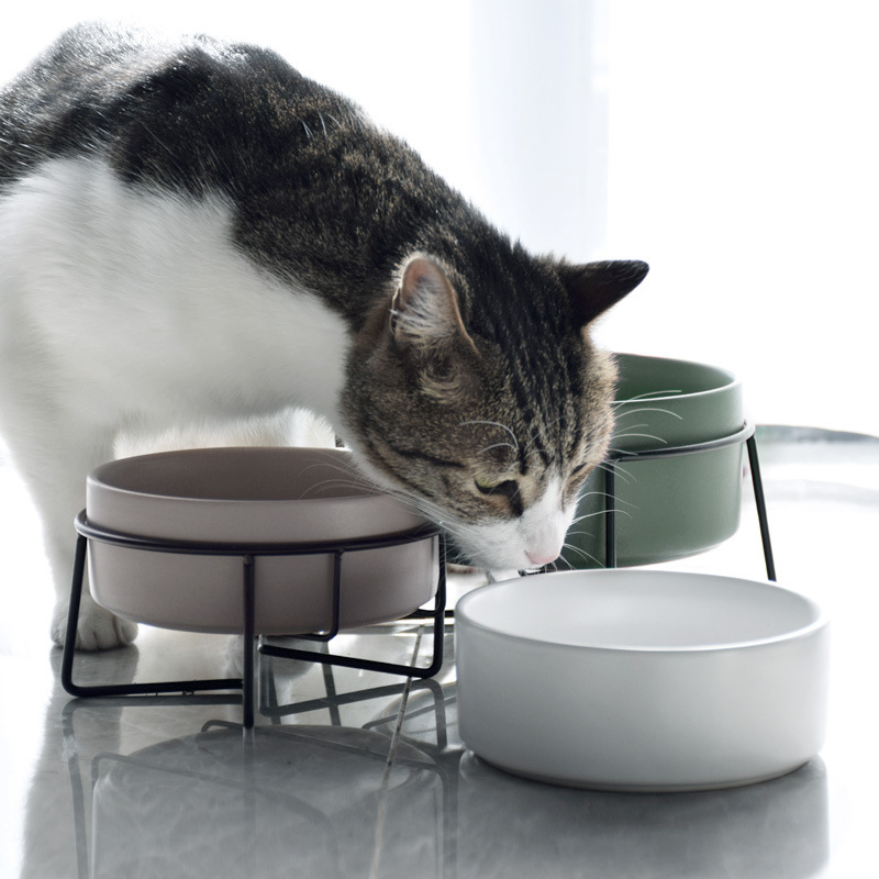 Manufacturer wholesale multi colors ceramic wooden frame pet cat dog bowl