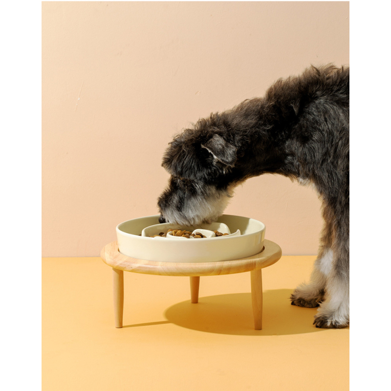 Manufacturer wholesale luxury slow feeder cat dog bowl ceramic material