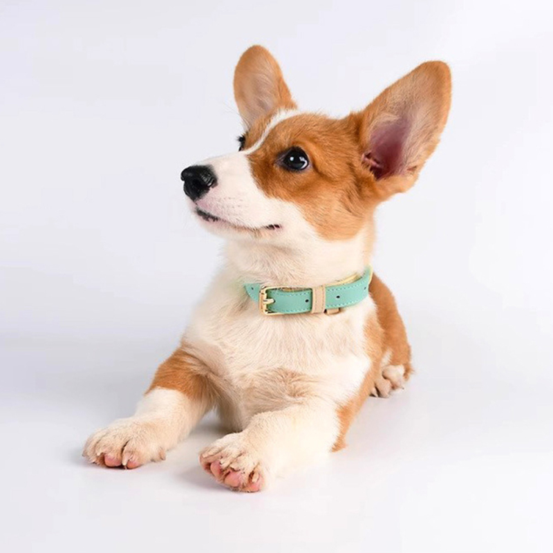 Wholesale Pink Blue Green Adjustable Dog Collar Leather