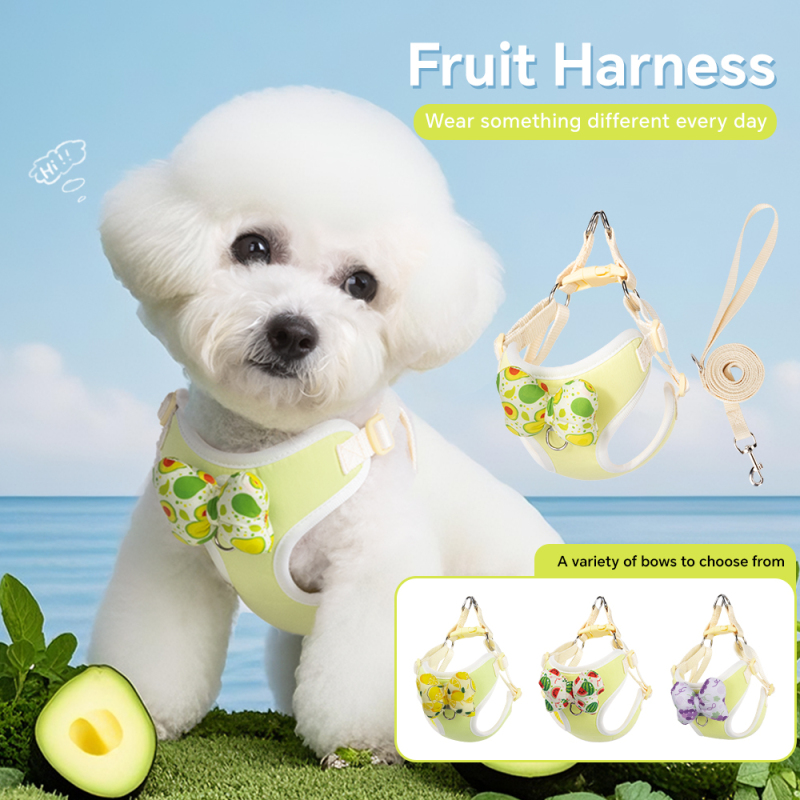 Wholesale Fruit Design Breathable Outdoor Dog Harness Adjustable