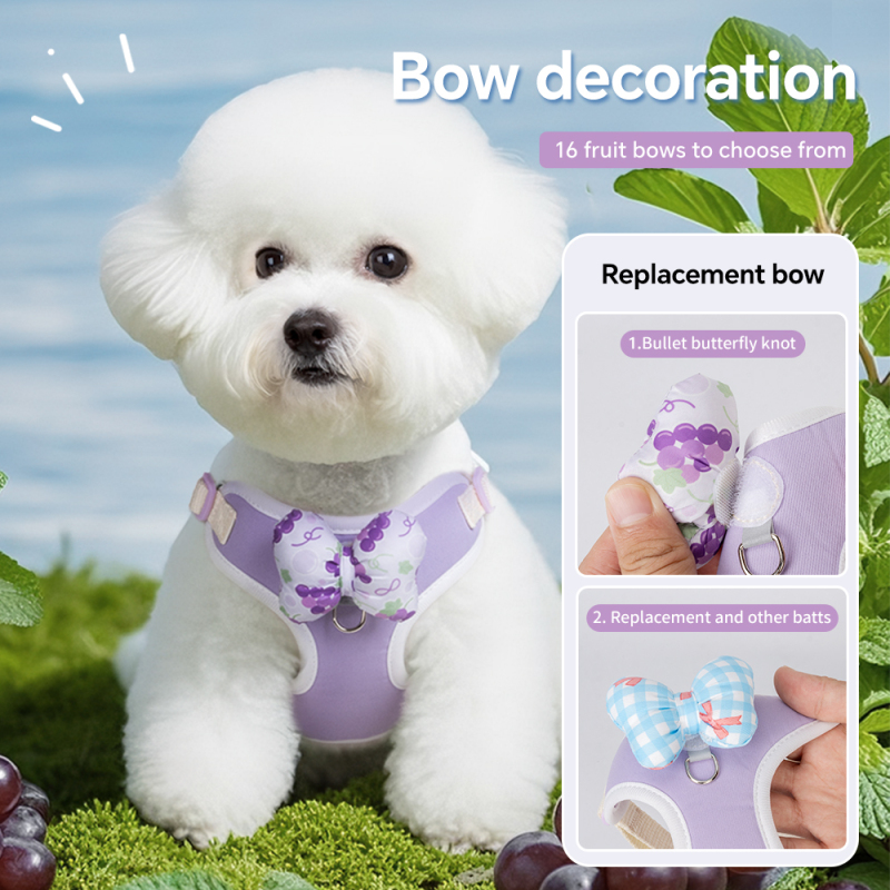 Wholesale Fruit Design Breathable Outdoor Dog Harness Adjustable