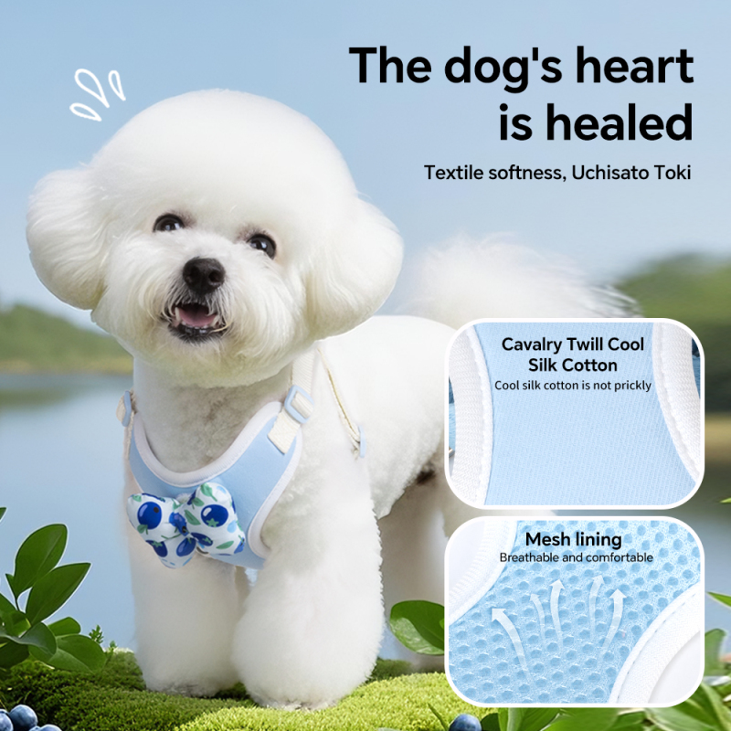 Wholesale Fruit Design Breathable Outdoor Dog Harness Adjustable