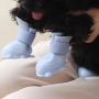 Wholesale Waterproof Anti-slip Cat Pet Dog Shoes