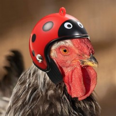 Wholesale Funny Chicken Bird Decoration Helmet Pet Costume Accessories Headgear Hat Cosplay Chicken Helmet