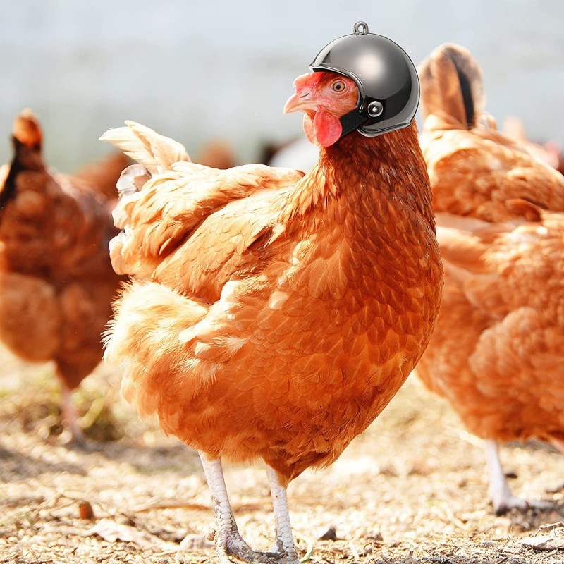 Wholesale Funny Chicken Bird Decoration Helmet Pet Costume Accessories Headgear Hat Cosplay Chicken Helmet