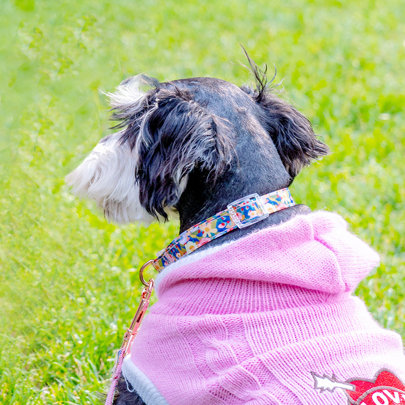 Manufacturer wholesale custom logo nylon pink flower dog collar and leash set