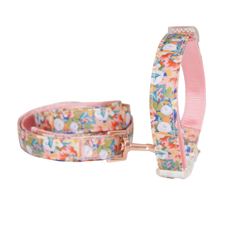 Manufacturer wholesale custom logo nylon pink flower dog collar and leash set