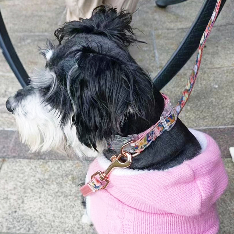 Manufacturer wholesale custom logo nylon pink flower dog collar and leash set