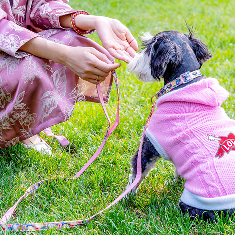 Manufacturer wholesale custom logo nylon pink flower dog collar and leash set