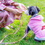 Manufacturer wholesale custom logo nylon pink flower dog collar and leash set