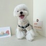 Wholesale Warm Blue Beige Knitting Dog Sweater